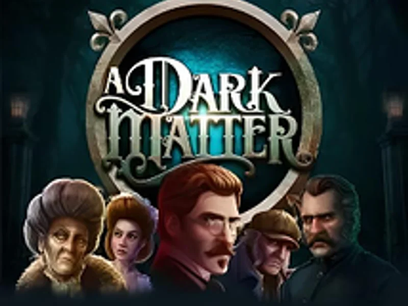A Dark Matter