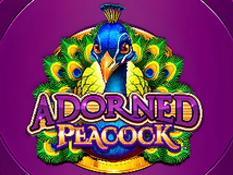 Adorned Peacock