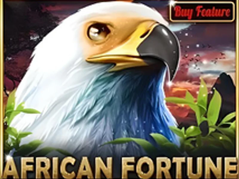 African Fortune