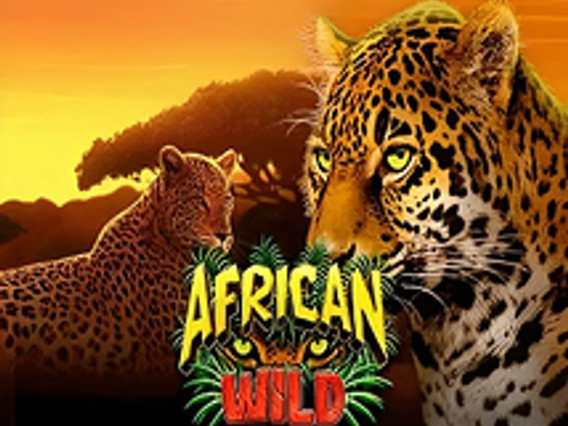 African Wild