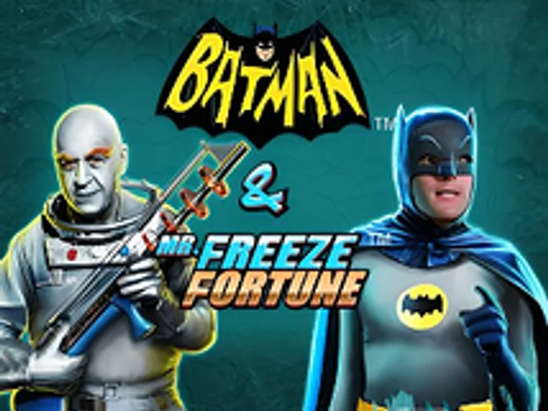 Batman and Mr Freeze Fortune