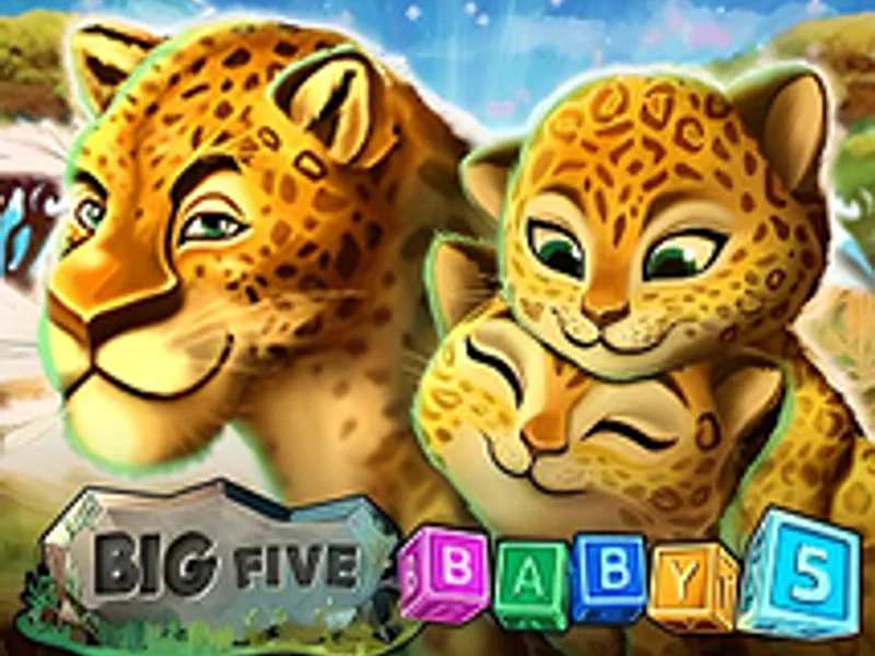 Big 5 Baby 5