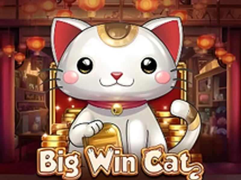 Big Win Cat