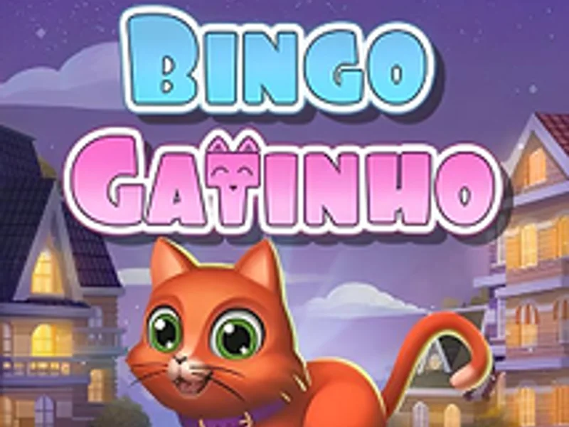 Bingo Gatinho