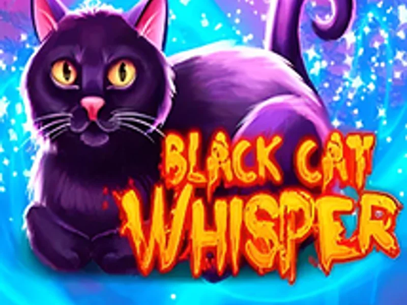 Black Cat Whisper