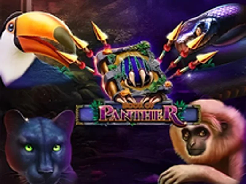 Book of Panther
