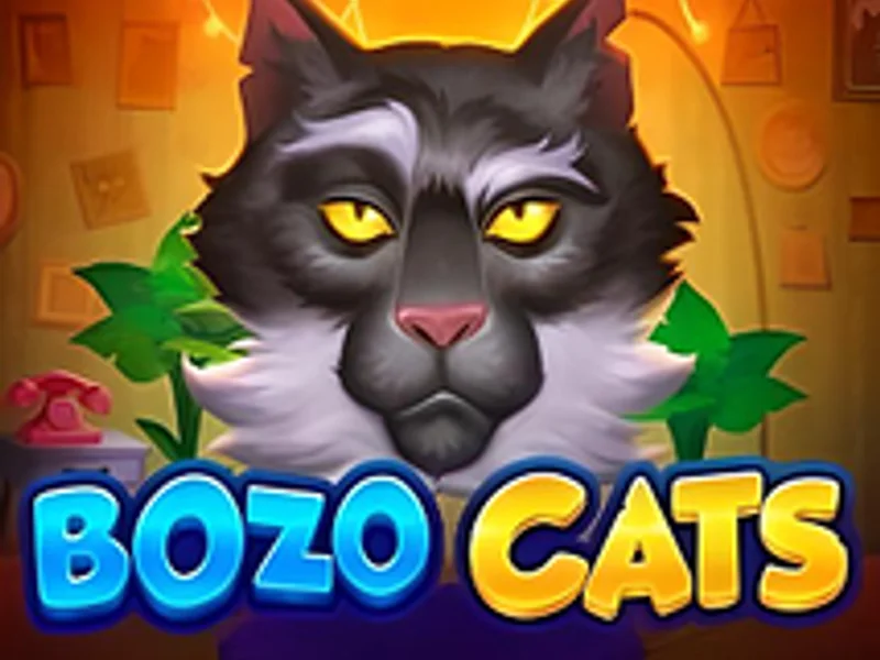 Bozo Cats