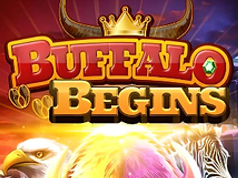 Buffalo Begins