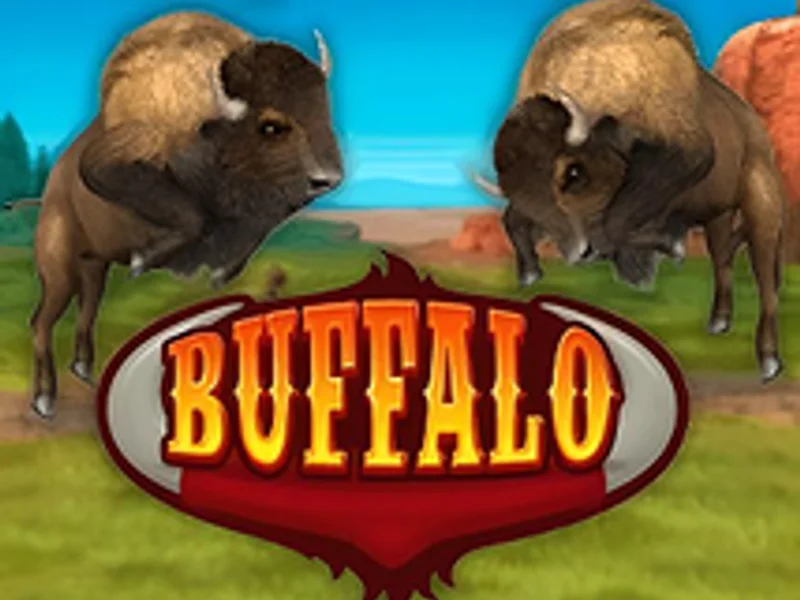 Buffalo Bingo