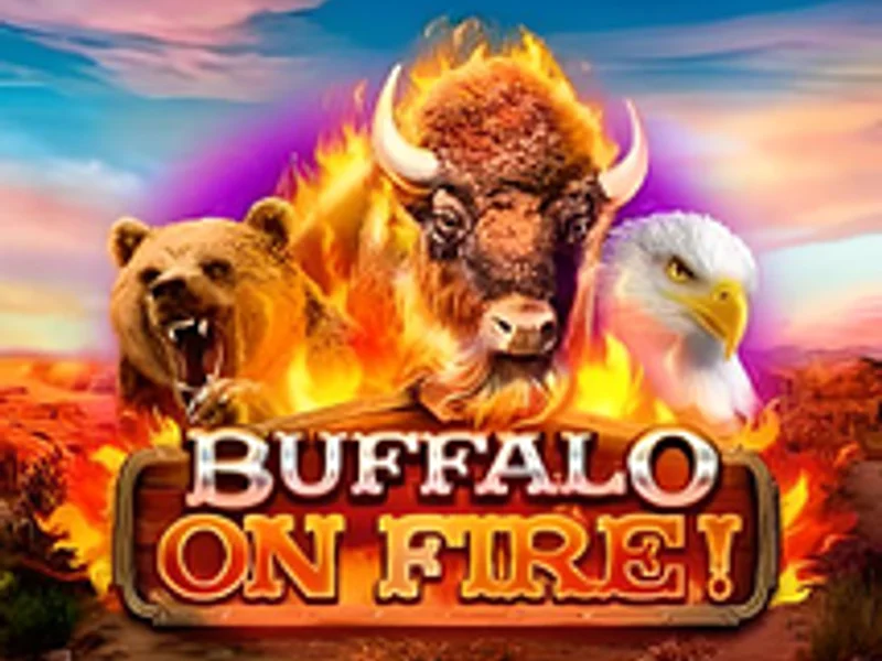 Buffalo on Fire