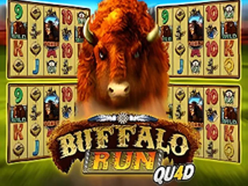 Buffalo Run Quad