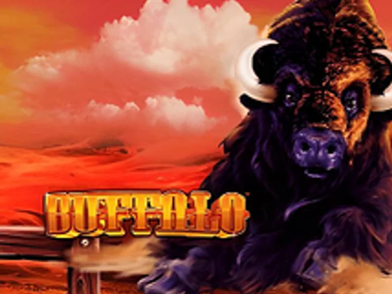 Buffalo