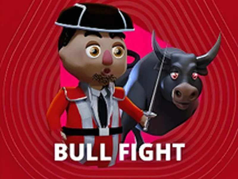 Bull Fight