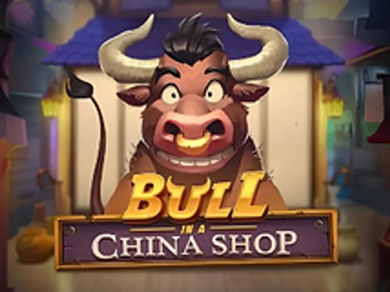 Bull in a China Shop
