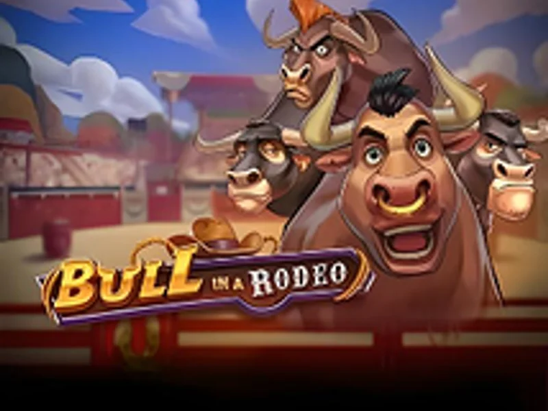Bull in a Rodeo
