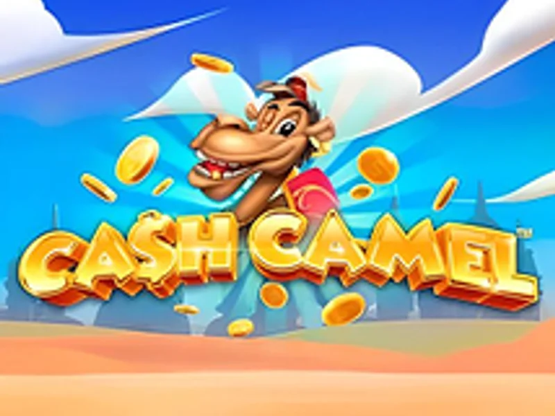 Cash Camel