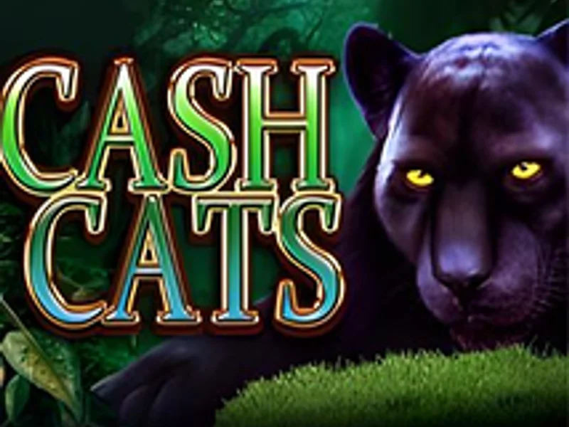 Cash Cats