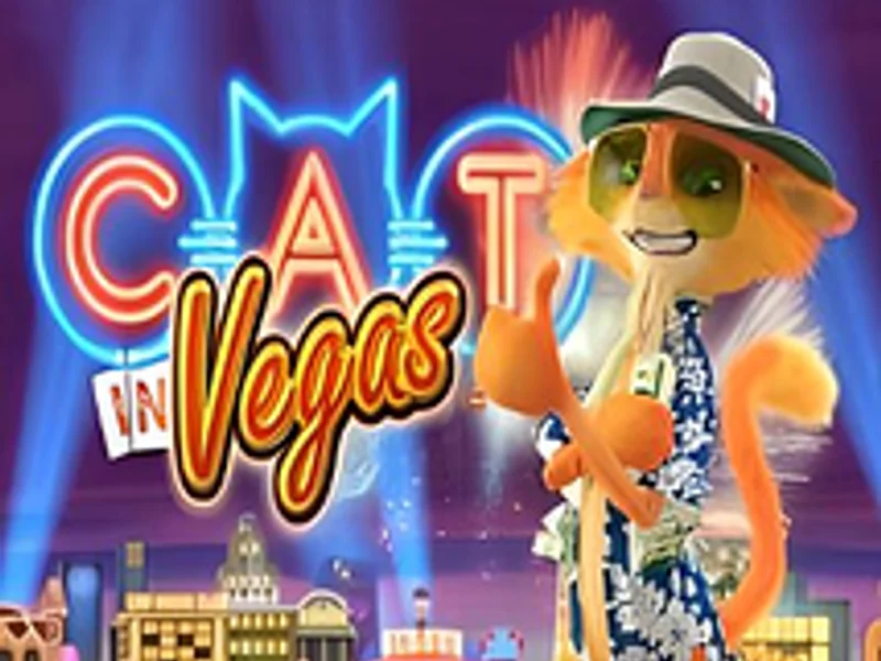 Cat In Vegas