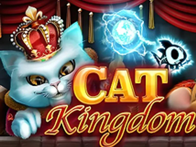 Cat Kingdom