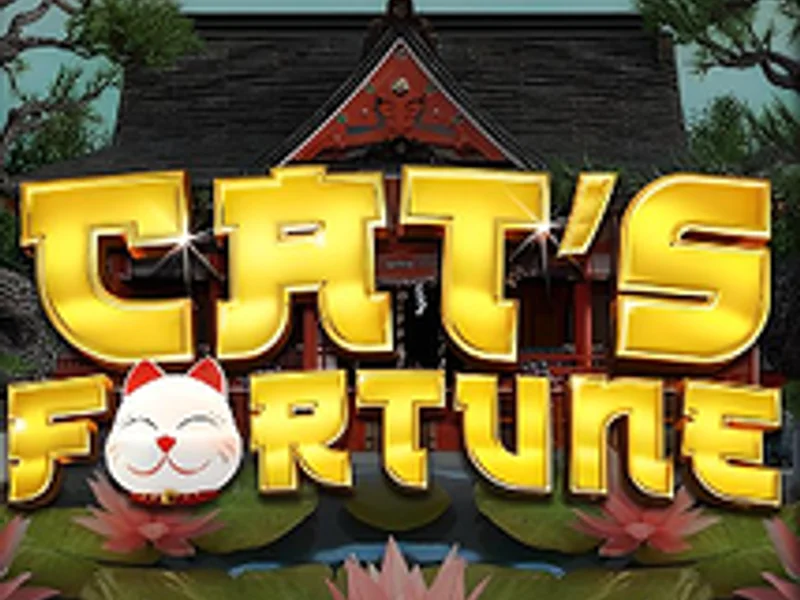 Cats Fortune