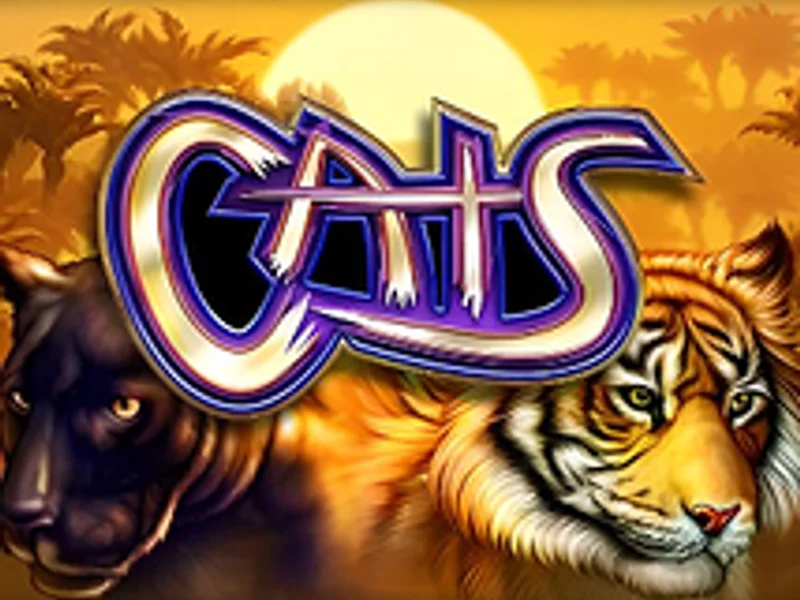Cats