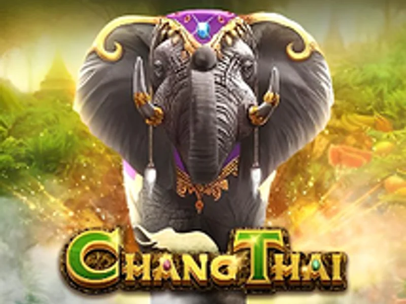 Chang Thai