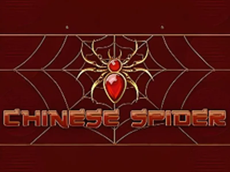 Chinese Spider