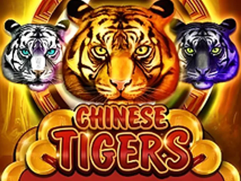 Chinese Tigers