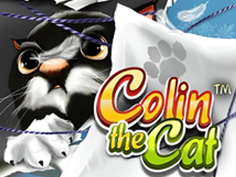 Colin the Cat