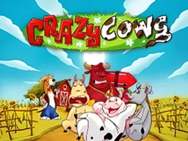 Crazy Cows