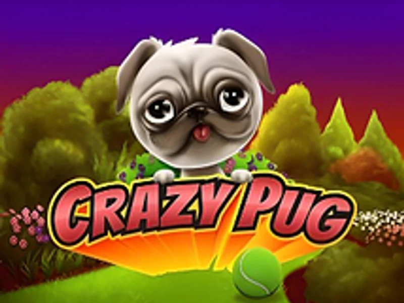 Crazy Pug