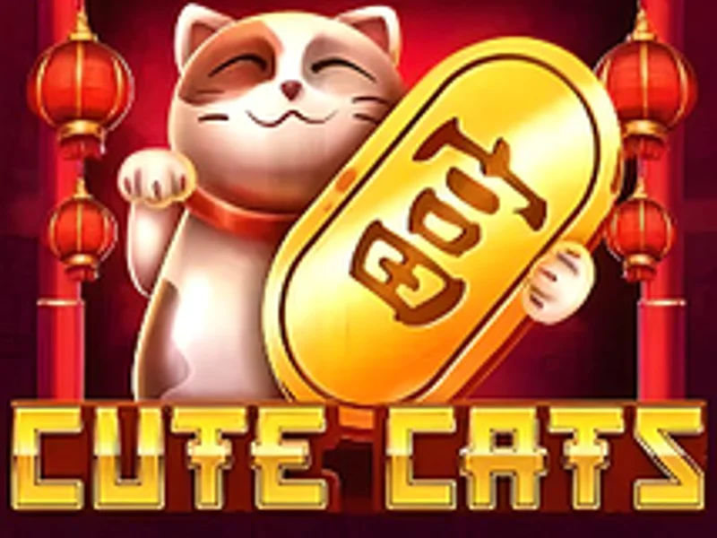 Cute Cats