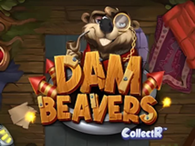 Dam Beavers