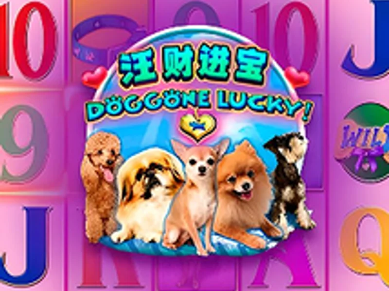Doggone Lucky