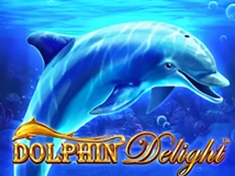 Dolphin Delight