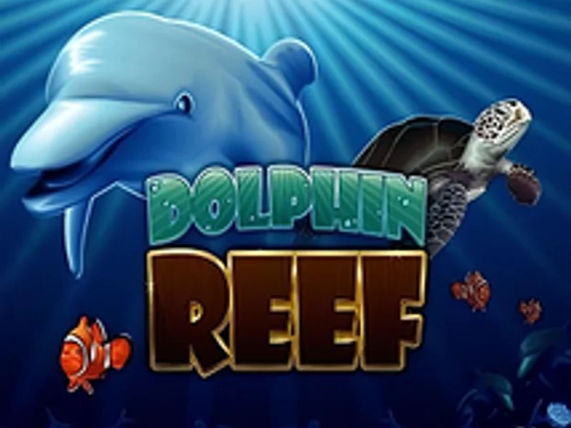 Dolphin Reef