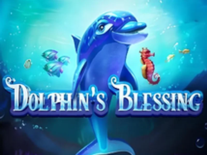 Dolphins Blessing