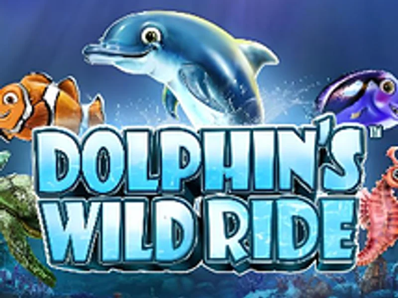Dolphins WIld Ride