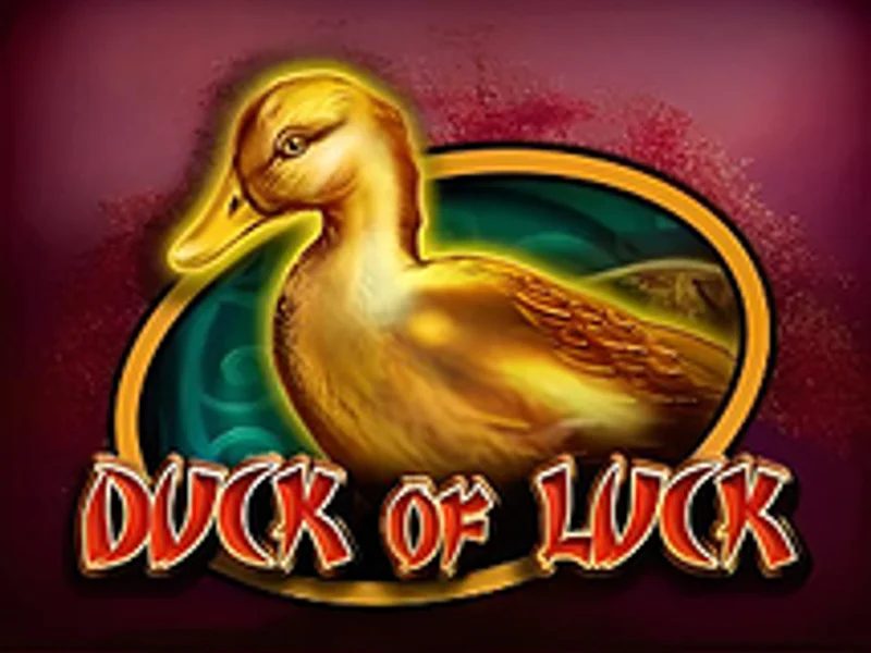 Duck Of Luck