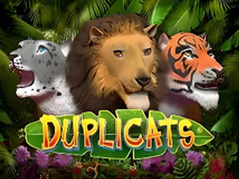 Duplicats