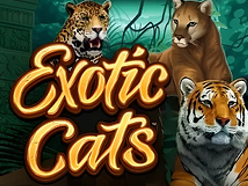 Exotic Cats