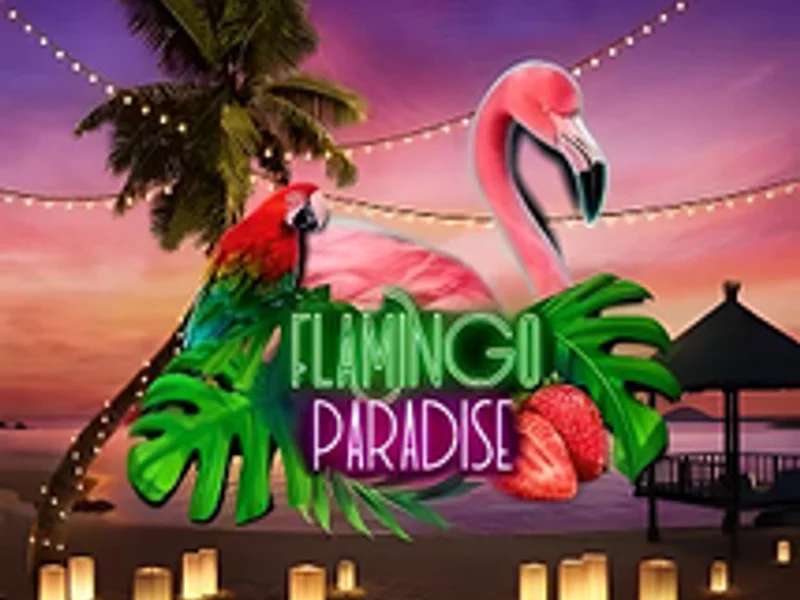 Flamingo Paradise