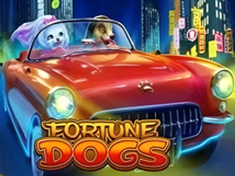 Fortune Dogs