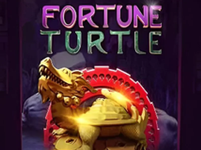 Fortune Turtle