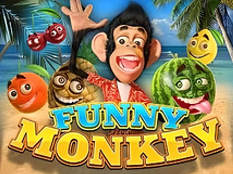 Funny Monkey
