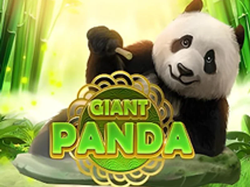 Giant Panda