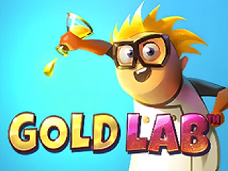 Gold Lab