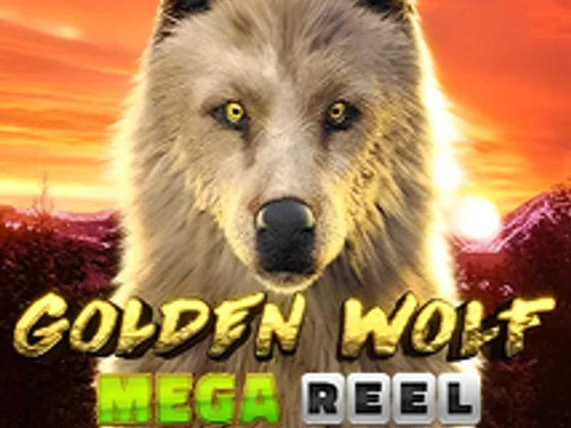 Golden Wolf Mega Reel