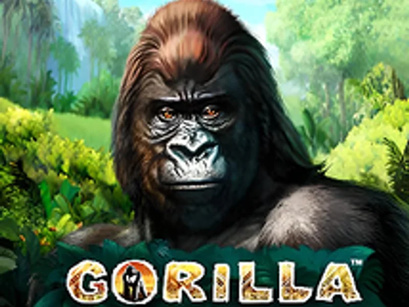 Gorilla