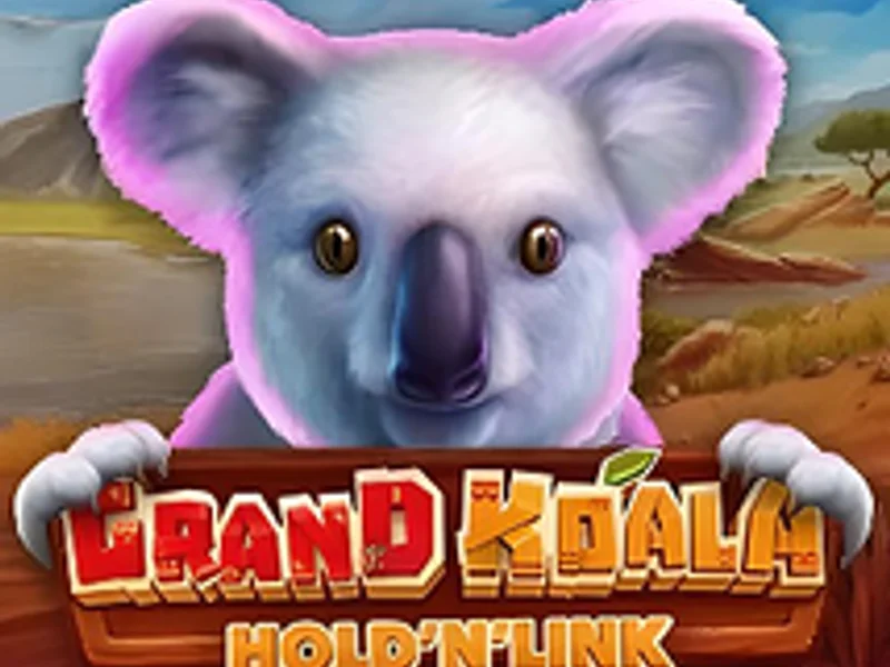 Grand Koala Hold n Link